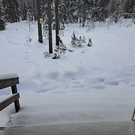 Lomaloukas 1 * Iso-Syöte